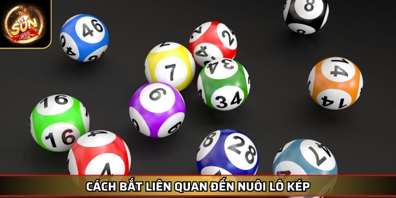 Cách Bắt Lô Kép Bí Kíp Thống Trị Và Những Cách Bắt Hiệu Quả 4 Cách bắt liên quan đến nuôi lô kép