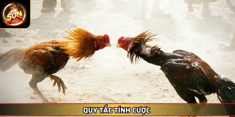 Đá Gà Thomo Trực Tuyến - Cuộc Chơi Đỉnh Cao Tại SUNWIN 4 Quy tắc tính cược