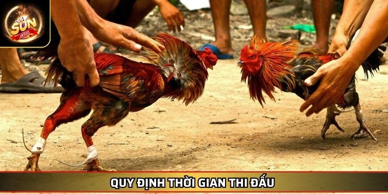 Đá Gà Thomo Trực Tuyến - Cuộc Chơi Đỉnh Cao Tại SUNWIN 3 Quy định thời gian thi đấu