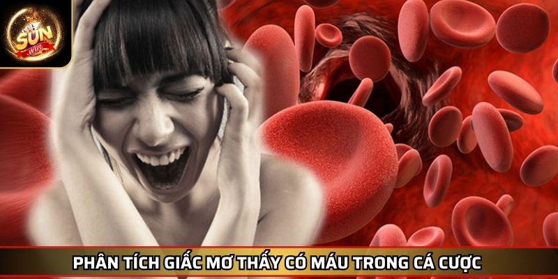 Mơ Thấy Máu Giải Mã Điềm Báo May Rủi Trong Cá Cược Online 3 Phân tích giấc mơ thấy có máu trong cá cược