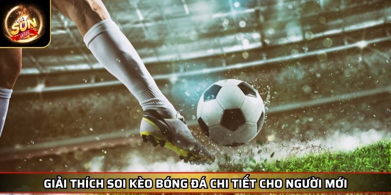Soi Kèo Bóng Đá Hướng Dẫn Chiến Thắng Từ Chuyên Gia 2 Giải thích soi kèo bóng đá chi tiết cho người mới